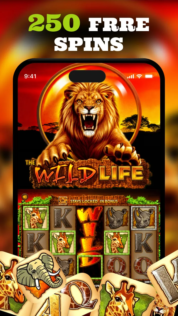 Screen